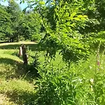 Apartament Vosgien Calme 4 Pers. Avec Terrasse Et Espace Enfants - Fr-1-589-791 Le Saulcy