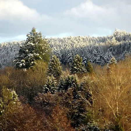 Apartamento Vosgien Calme 4 Pers. Avec Terrasse Et Espace Enfants - Fr-1-589-791 *