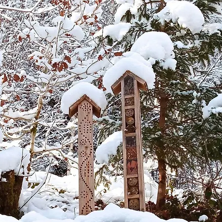 Vosgien Calme 4 Pers. Avec Terrasse Et Espace Enfants - Fr-1-589-791