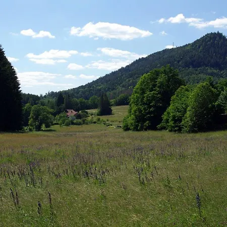 Vosgien Calme 4 Pers. Avec Terrasse Et Espace Enfants - Fr-1-589-791 Lejlighed *