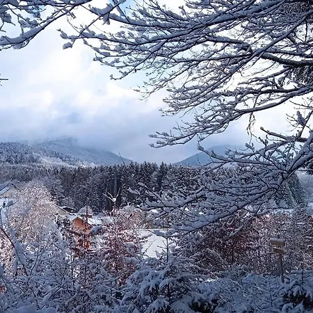 Vosgien Calme 4 Pers. Avec Terrasse Et Espace Enfants - Fr-1-589-791 Apartamento *