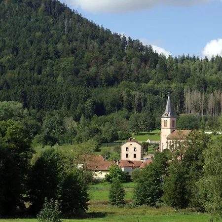 Vosgien Calme 4 Pers. Avec Terrasse Et Espace Enfants Le Saulcy