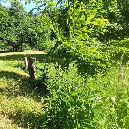 Lejlighed Vosgien Calme 4 Pers. Avec Terrasse Et Espace Enfants - Fr-1-589-791 Le Saulcy