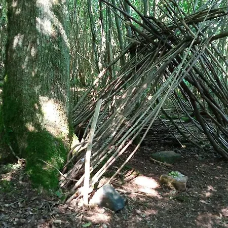 Apartamento Vosgien Calme 4 Pers. Avec Terrasse Et Espace Enfants - Fr-1-589-791