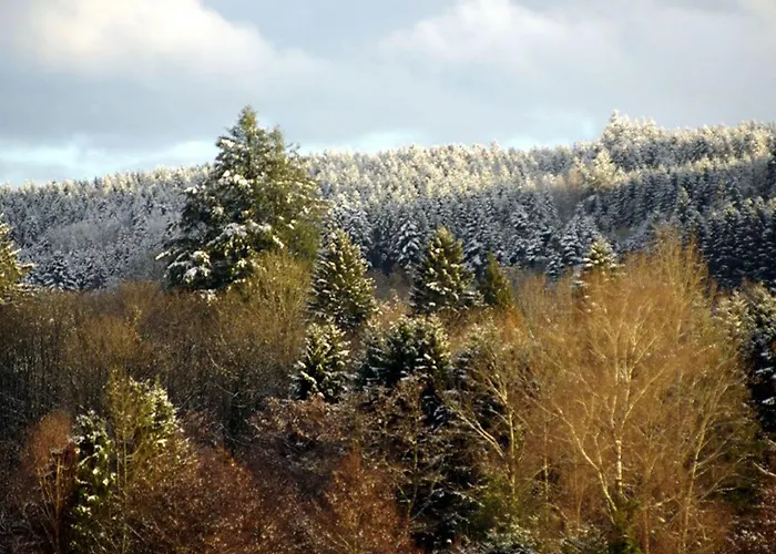 Апартаменты Vosgien Calme 4 Pers. Avec Terrasse Et Espace Enfants - Fr-1-589-791 *