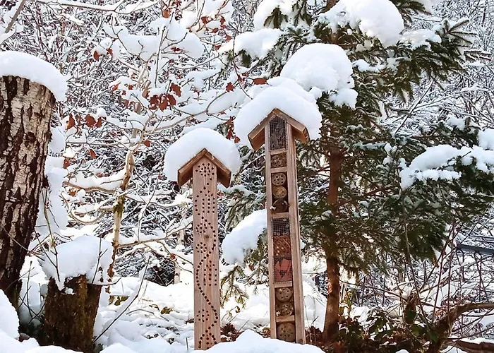 Vosgien Calme 4 Pers. Avec Terrasse Et Espace Enfants - Fr-1-589-791