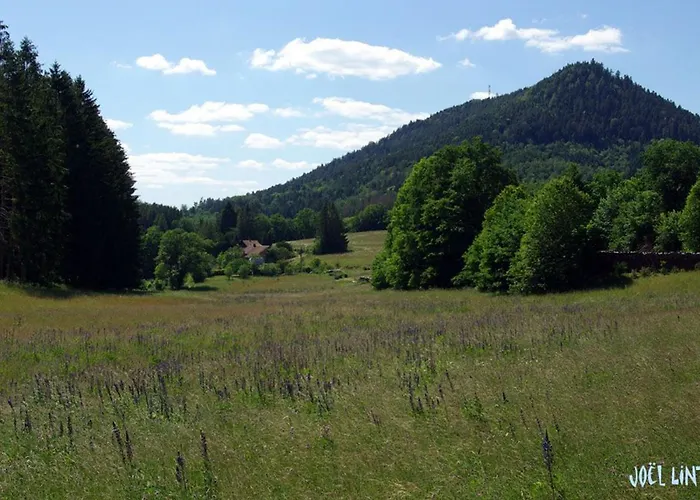 Vosgien Calme 4 Pers. Avec Terrasse Et Espace Enfants - Fr-1-589-791 Апартаменты *