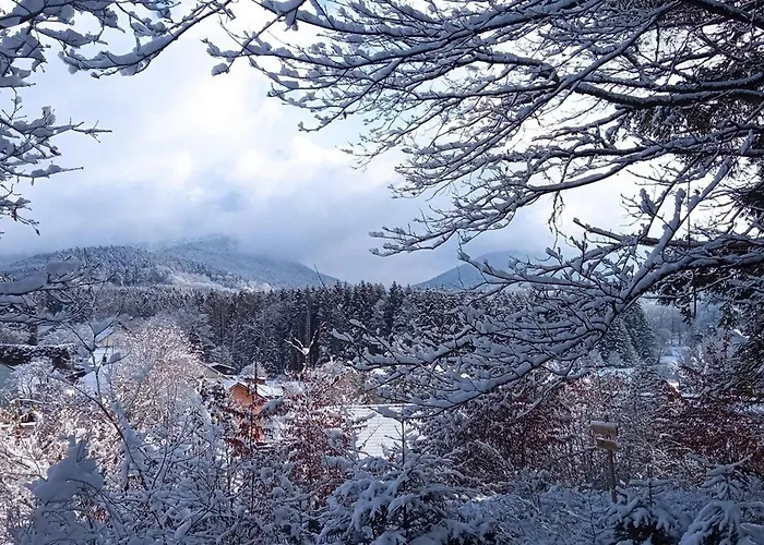 Vosgien Calme 4 Pers. Avec Terrasse Et Espace Enfants - Fr-1-589-791 Апартаменты *