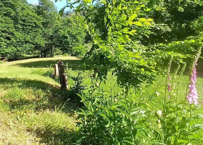 Апартаменты Vosgien Calme 4 Pers. Avec Terrasse Et Espace Enfants - Fr-1-589-791 Le Saulcy