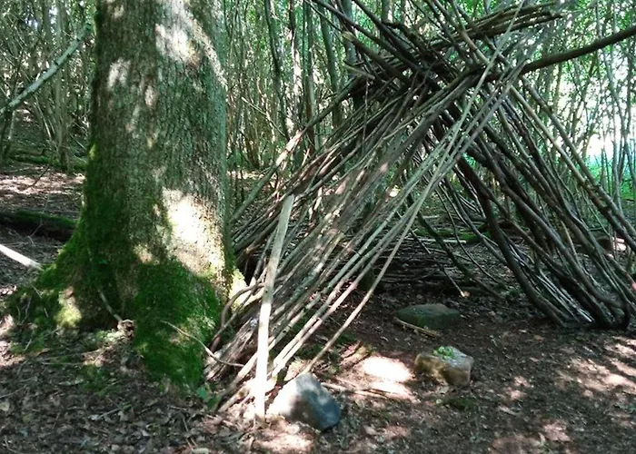 Апартаменты Vosgien Calme 4 Pers. Avec Terrasse Et Espace Enfants - Fr-1-589-791